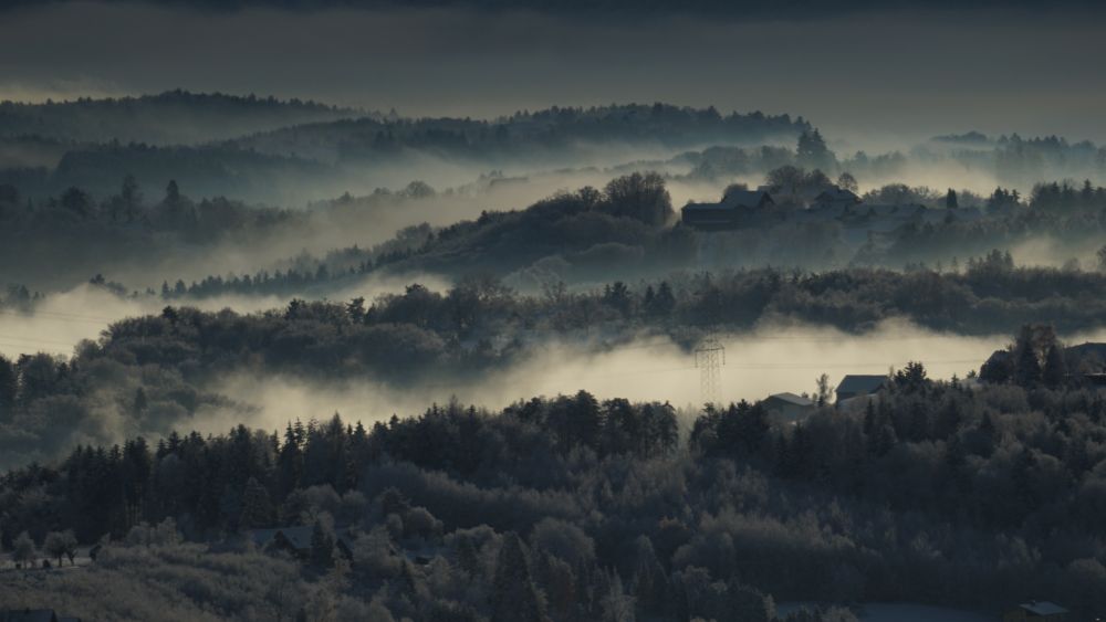 Nebelfelder in Bodensenken verbergen einen Teil der Landschaft
die Bäume auf den Kuppen zeichnen sich wie Scherenschnitte vor den dahinter liegenden weißen Nebelfetzen
zum Horizont hin verbirgt der Dunst immer mehr Details in der Landschaft