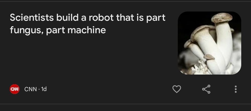A real CNN news article with the headline "Scientists build a robot that is part fungus, part machine." There is an image of mushroom accompanying the headline.