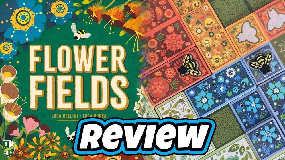 FLOWER FIELDS | Review