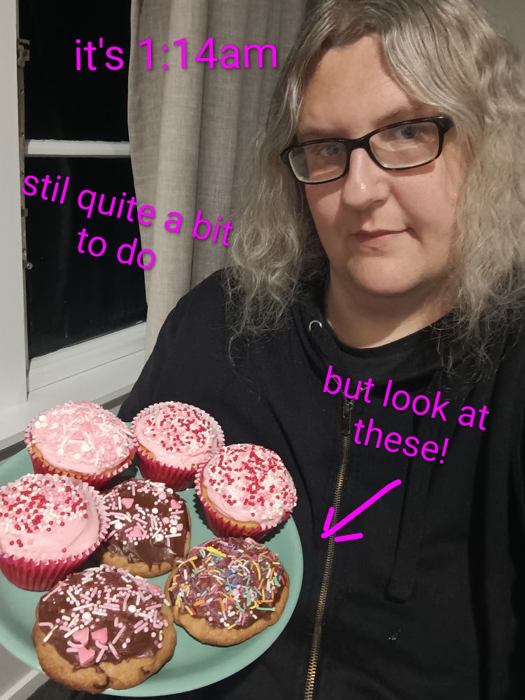 Picture of me holding a plate with three chocolate chip cookies with chocolate icing and sprinkles and four cupcakes with pink icing and sprinkles. Most of the sprinkles are pinks, reds, and whites, but some items have some more coloured sprinkles too.
I have written over the image in fuchsia coloured text "it's 1:14am, still quite a bit to do, but look at these!" With an arrow pointing to the plate.