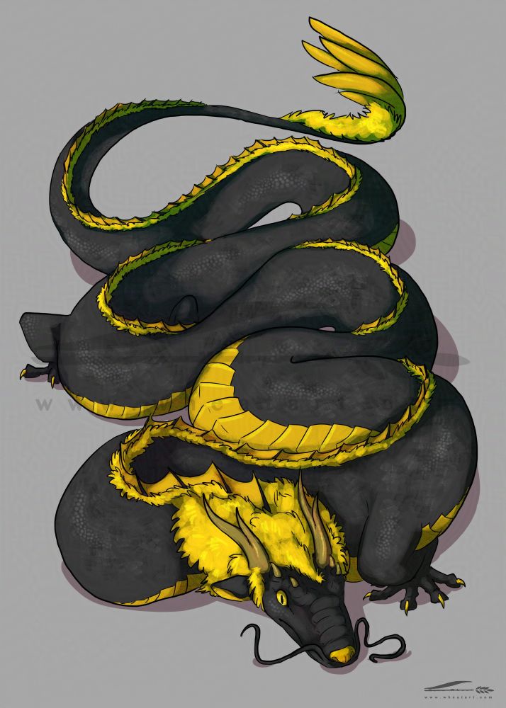 A full picture of an eastern style dragon folded back and forth on itself.