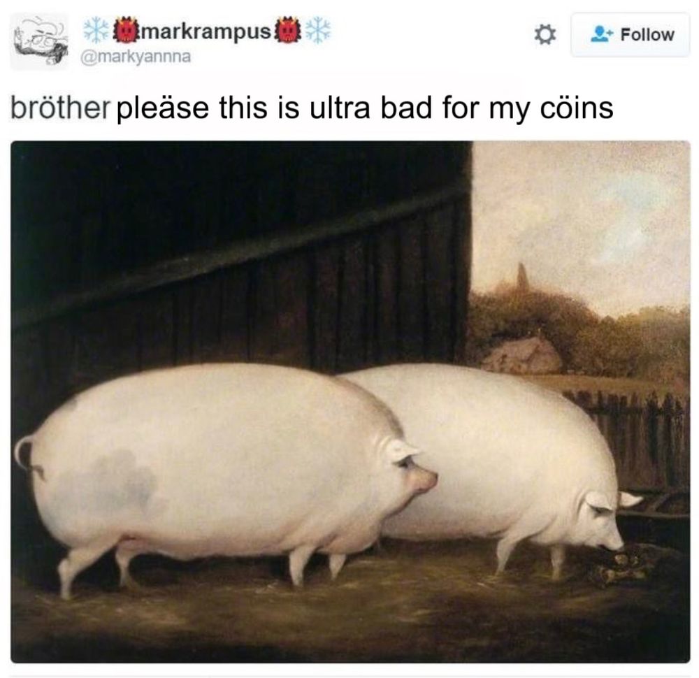 The pigs saying bröther may i have some öats tweet but it says bröther pleäse this is ultra bad for my cöins