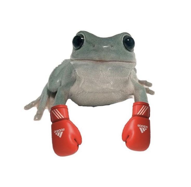 Comment image