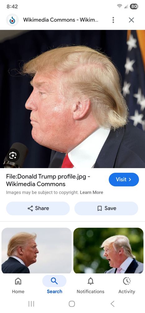 Screen shot of trump's profile.
