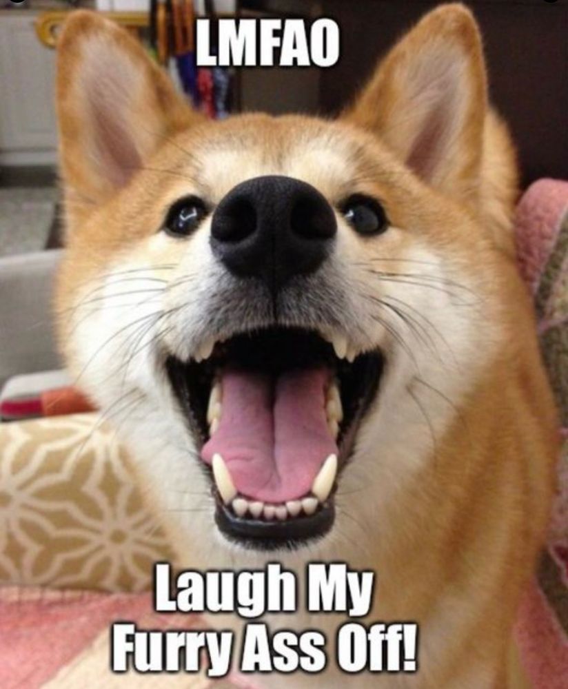 Comment image