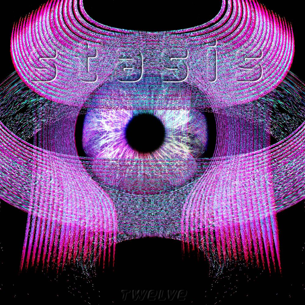 whispy, digital ridges form a a shape similar to samurai armor or vibrant, died hair that surrounds a disembodies eyeball. "stasis" is etched into the upper crest, above the eyeball. below is barely visible, embossed and proportionally smaller text that reads "TWELVE"