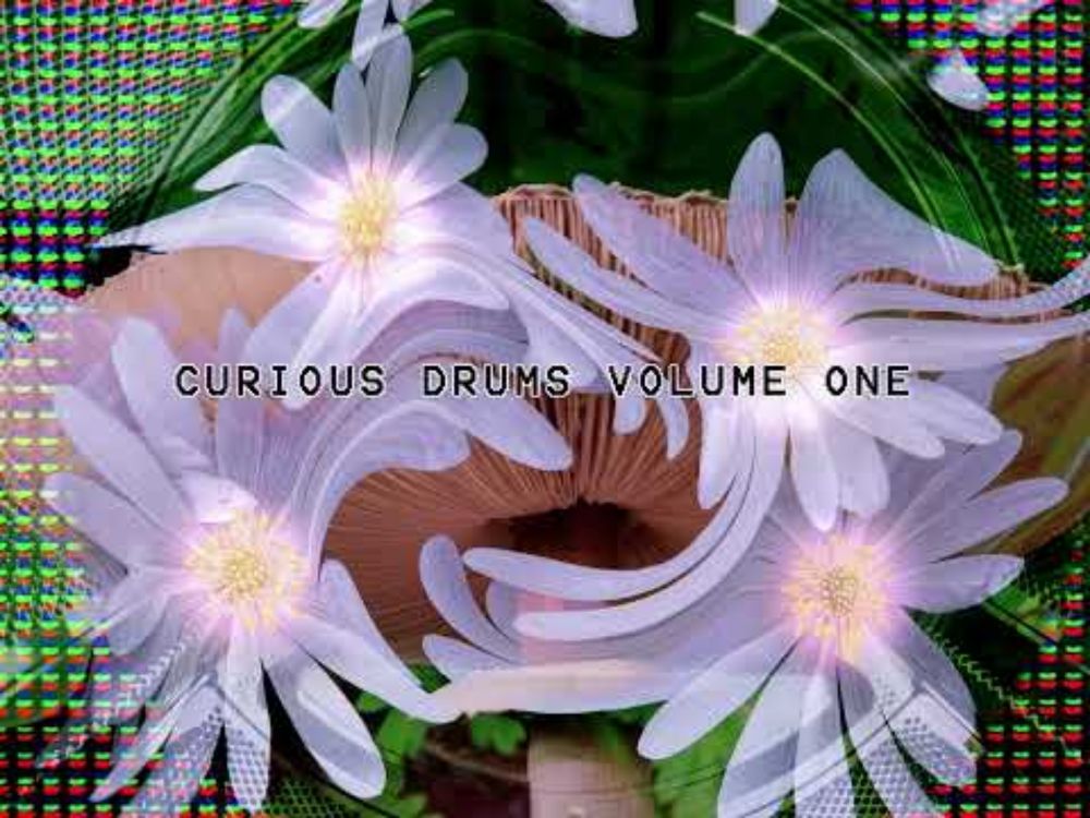 Kongas Curious Drums Teaser