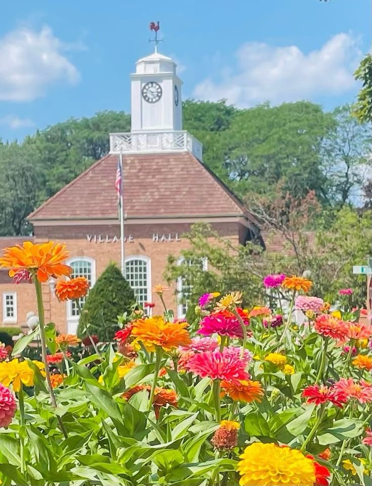 Multiple bright yellow red and pink flowers in bloom near a village hall building