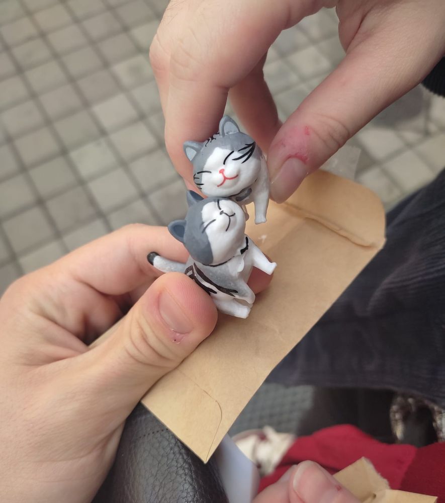 Figuritas de gatitos lindos y felices grises y blancos