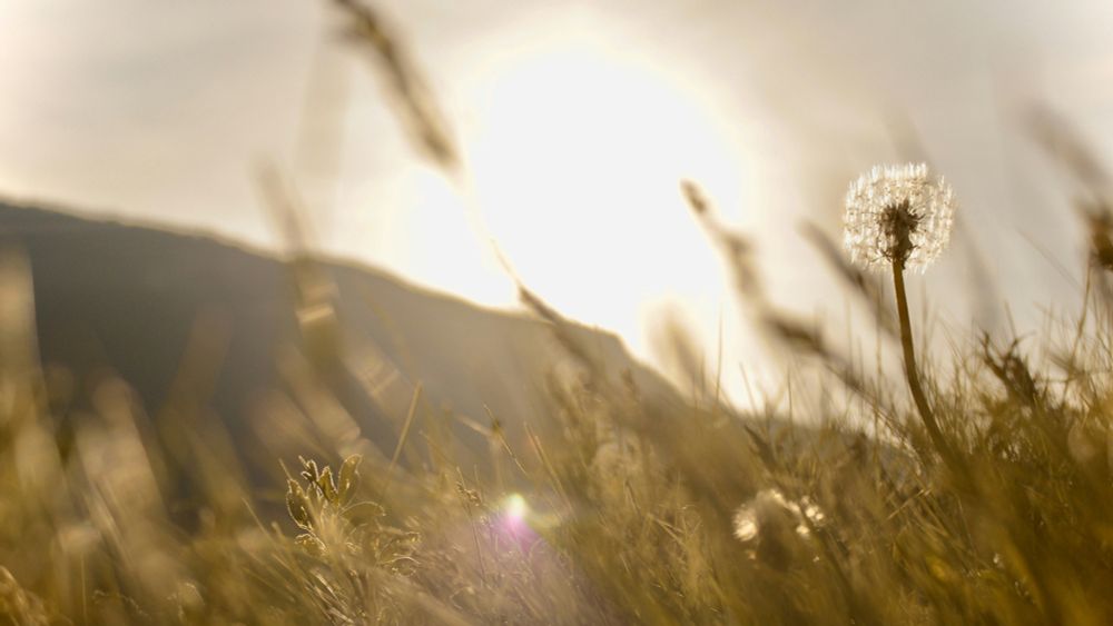 Reflections on the dynamics of resilience, resistance, and accompaniment as they constellate a deeper and expansive imagination of well-being in peacebuilding.
