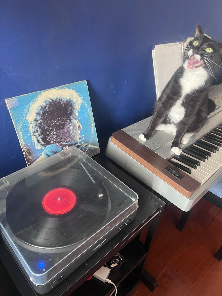 Bob Dylan record playing with cat sitting on piano and screaming