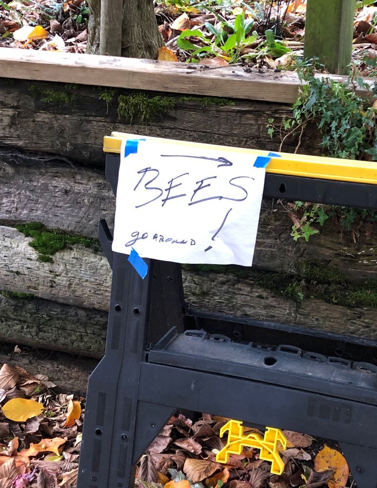 ➡️
BEES
go around!