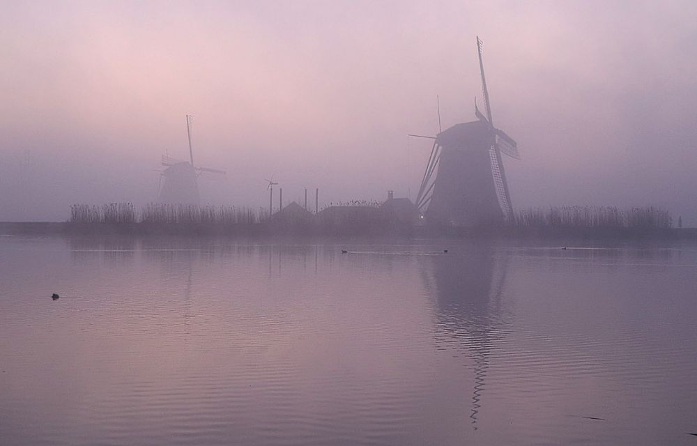 Roze mistige zonsopgang. 2 Molens en wat bebouwing vaag zichtbaar op de dijk. Reflectie van voorste molen in het gladde water op de voorgrond.
