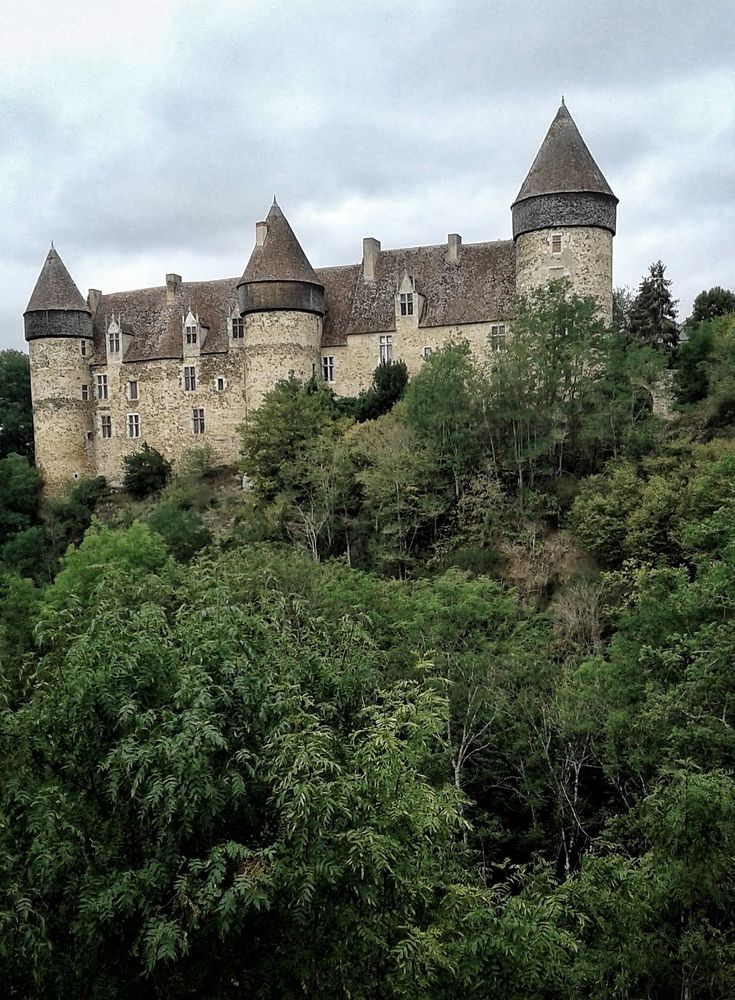 Kasteel opgetrokken uit beige steen. 3 ronde torens te zien met grijs rode leien daken. Een aantal schoorstenen en smalle zolderramen. Foto genomen vanaf beneden. Kasteel staat op een dicht met bomen en struiken begroeide heuvel.
