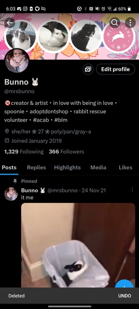 Screenshot of X (twitter) profile for mrsbunno