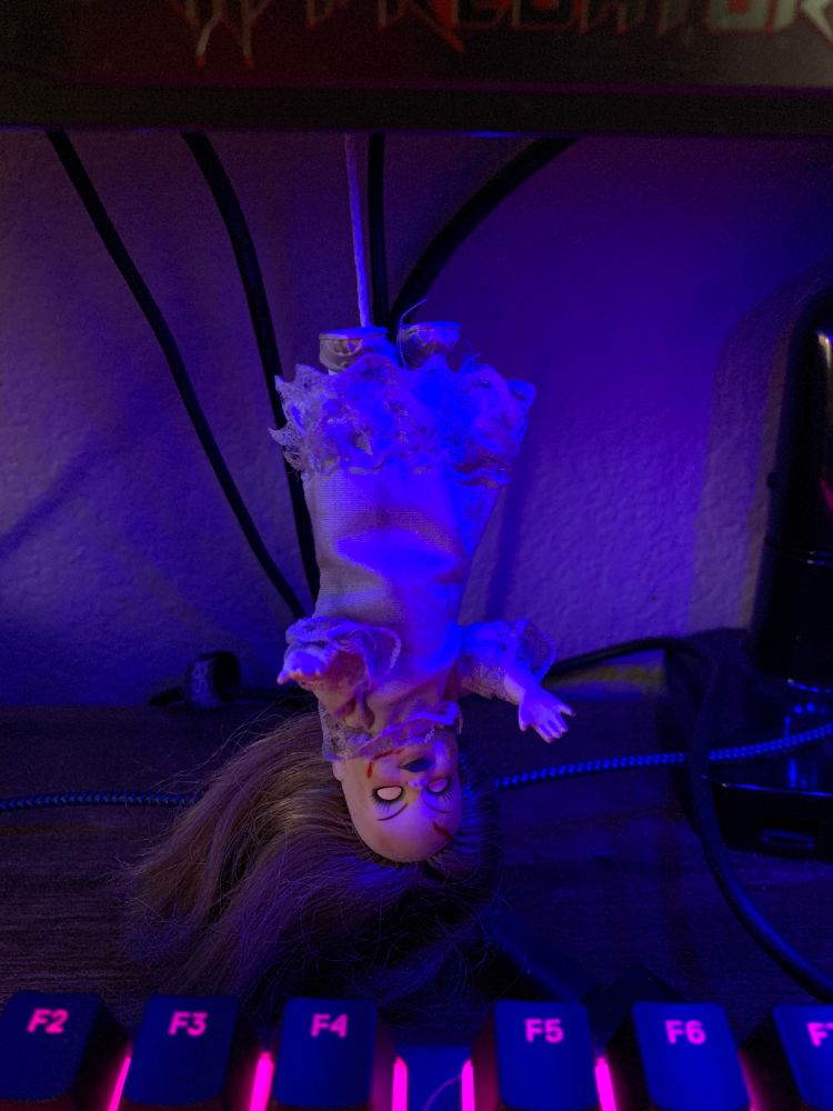 My Series 1 Living Dead Doll.
I brushed her hair, and moved her noose to her ankle so she can hang upside down, and not risk breaking her head off.
I've had her for 22 years. ❤️
