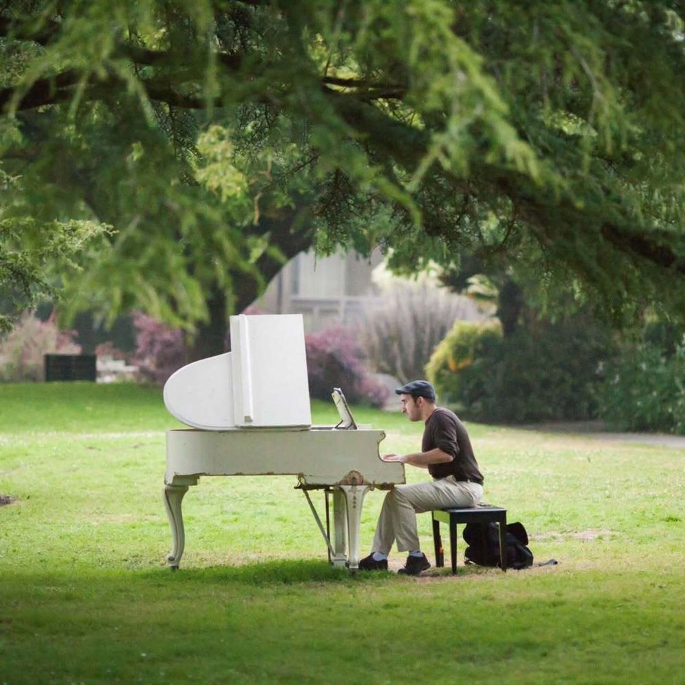 A piano on grass in the botanical garden with trees in the foreground and background.