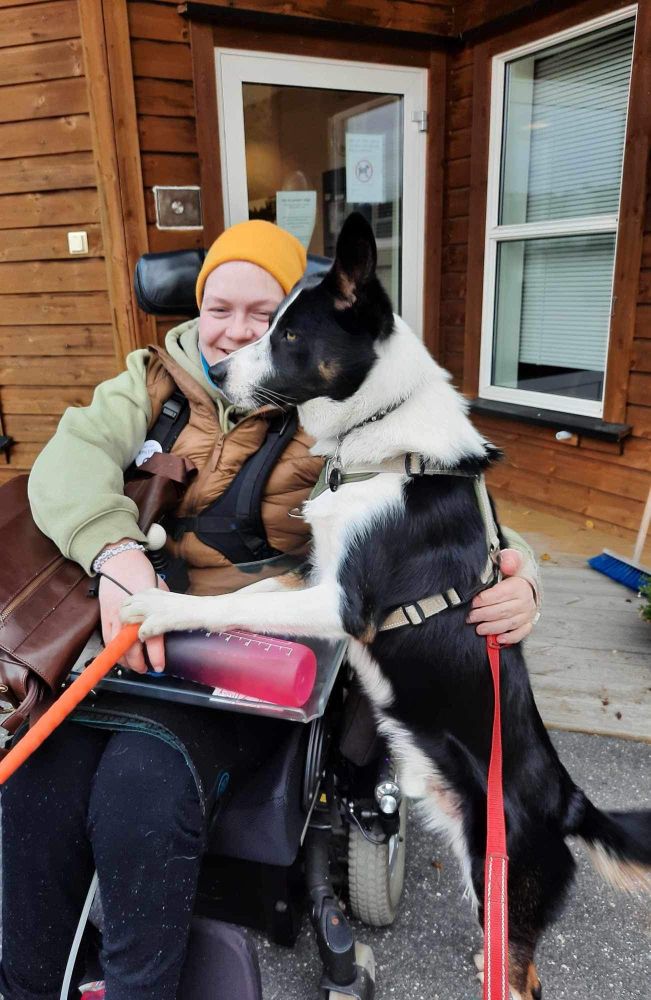 Dette bildet viser også meg og valpen, men nå synes valpen mest og man ser meg i bakgrunnen. Han står fremdeles og lener seg inntil rullestolen min. Det ser ut som jeg gir ham en klem.