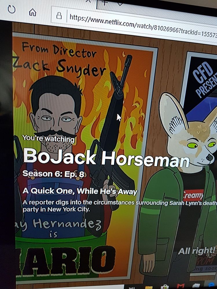 A poster from the cartoon Bojack Horseman featuring a gun toting Super Mario as a Zack Snyder film.