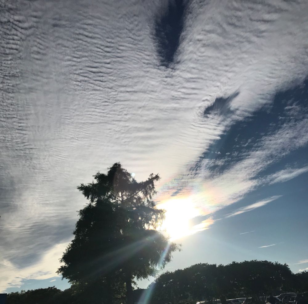 Interesting clouds, sunbeams, and a sundog with a tree. 

