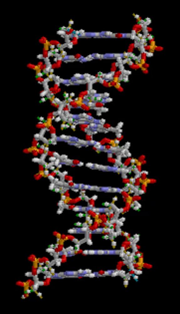 Blood Dna GIF