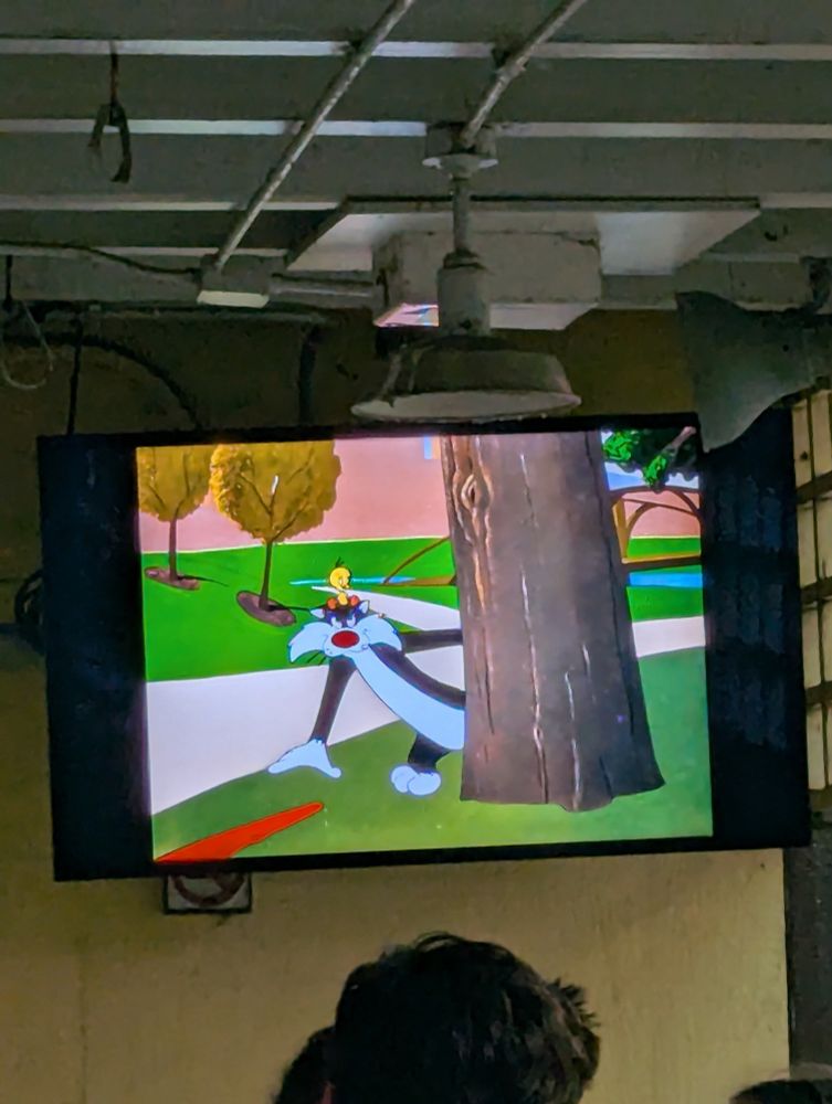 A picture of a TV screen with a Looney Toons cartoon on. Sylvester the Cat is about to attempt to hit Tweety Bird, sitting on his head, with a club (he will inevitably only hit himself)