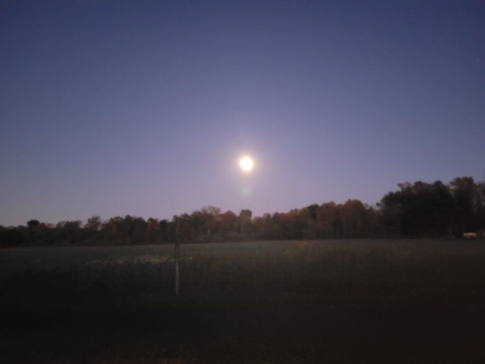 a nearly-full moon over an empty field, lighting it more brightly than you would expect