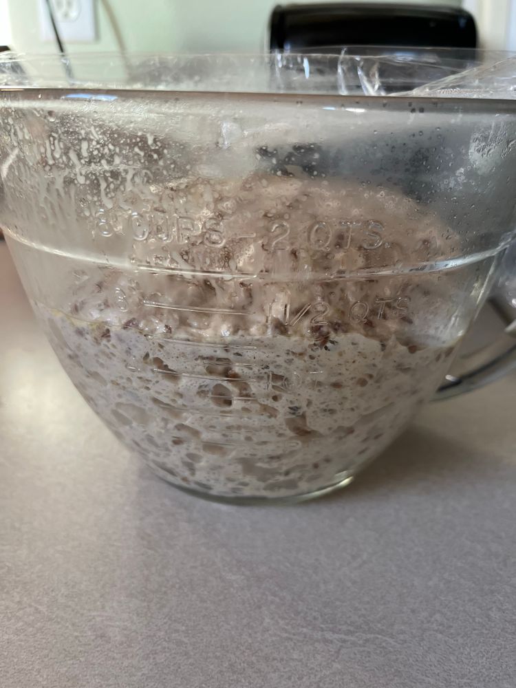 Overnight bread dough, bubbly and puffy.