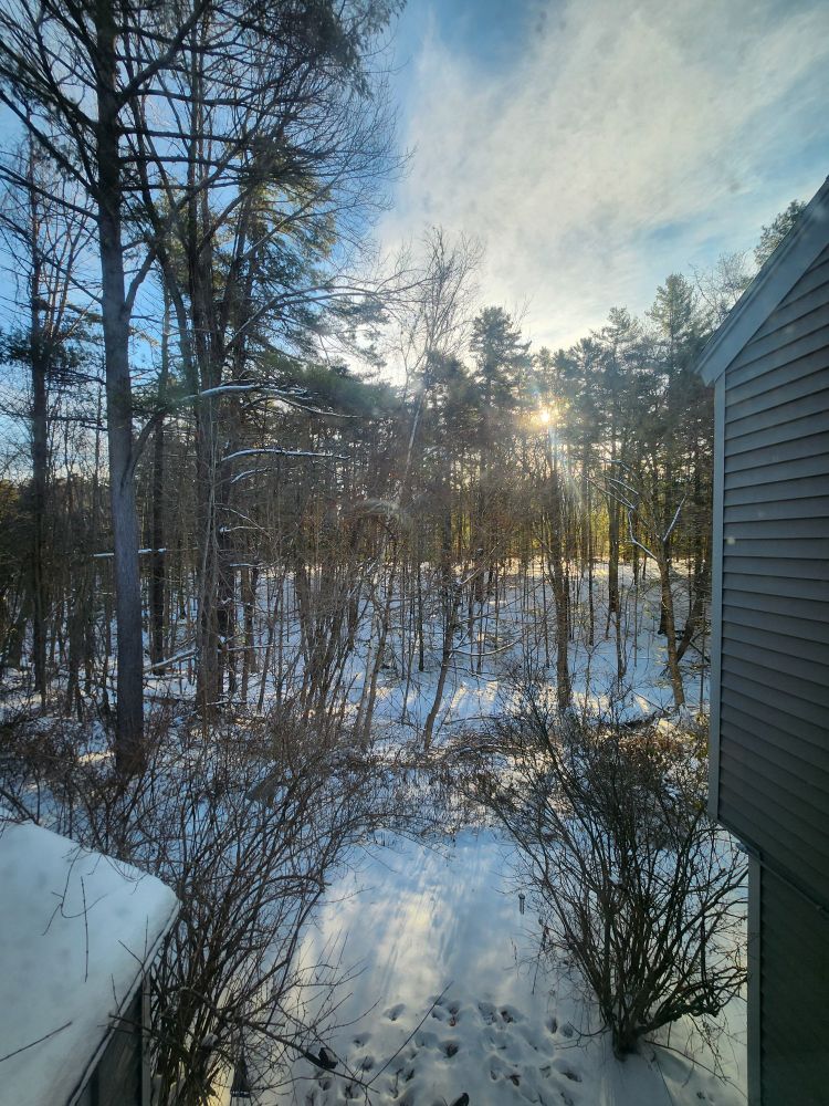 Snowy scene. There's a brook in there somewhere, I promise. 