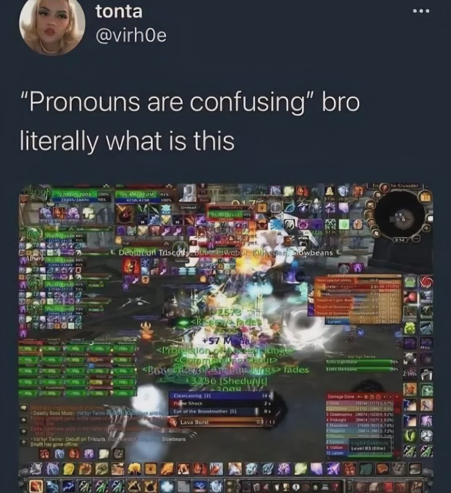 "Pronouns are confusing" bro literally what is this

*Screenshot of someone playing WoW with a million stats and effects happening at once*