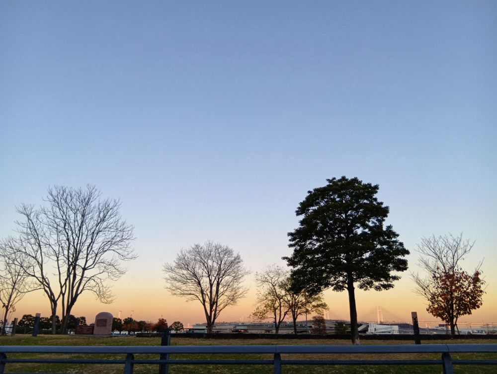 ブルーとオレンジのグラデーションの夕空。木の影が影絵のように見える。