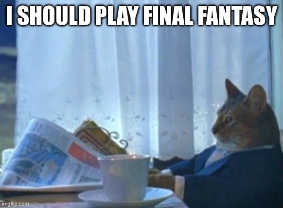 It’s the “I should buy a boat” cat meme and the text says “I should play final fantasy”