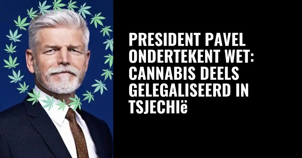 President Pavel ondertekent wet: cannabis deels gelegaliseerd in Tsjechië