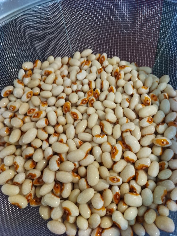 Soaked yellow eye beans in a strainer 