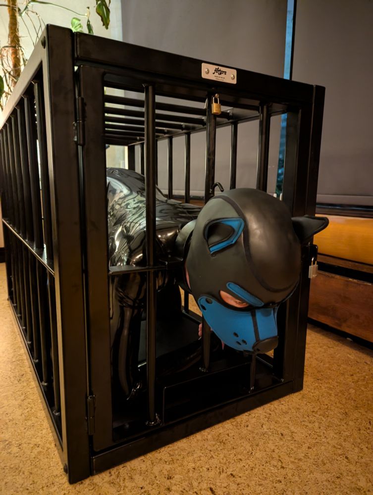 Rubber pup in a cage