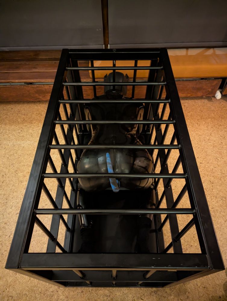 Rubber pup in a cage