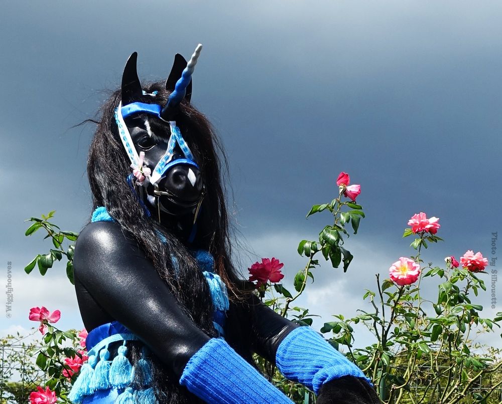 Portrait photo
A person in a pony mask and black bodysuit, wearing a blue and white bridle with a spiral Ombre Unicorn horn in matching hues.
Blue arm-warmers and a blue tasseled top.
Behind is dark pink roses and darek almost storm clouds in the sky.