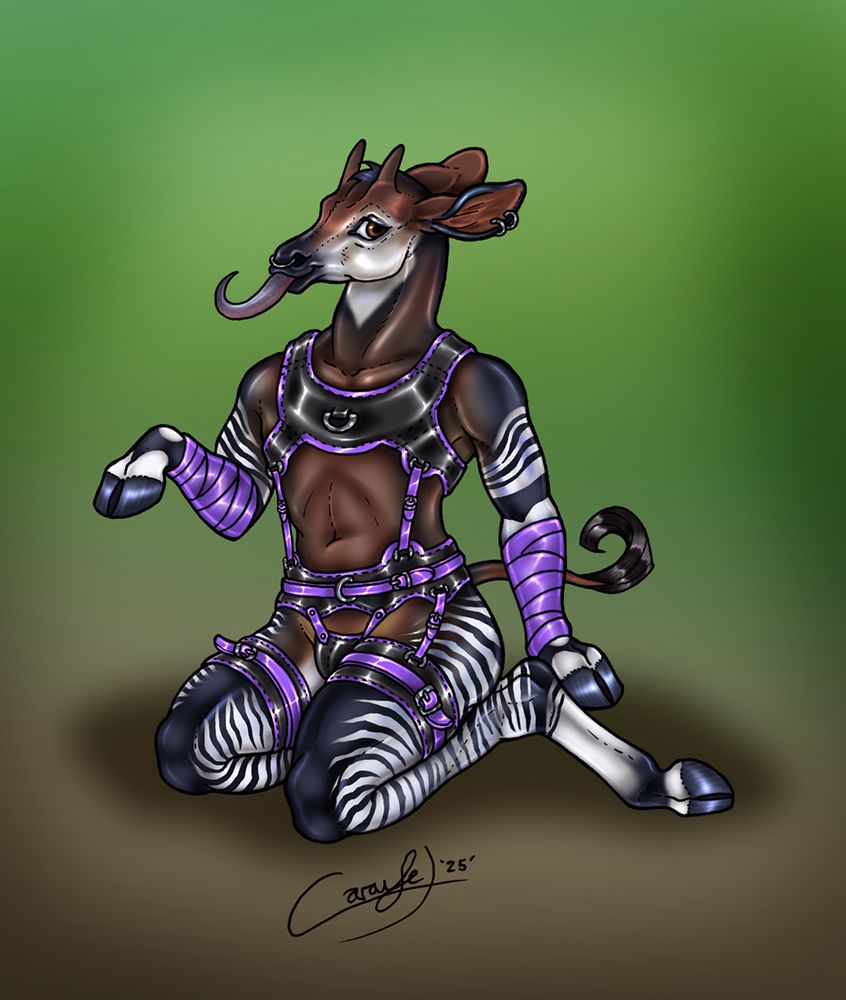 Okapi Anthro sits and shows off his Purple and Black harness