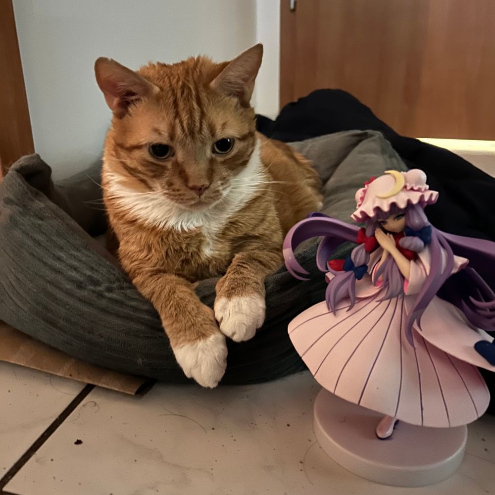 Fat ass orange cat with patchouli knowledge figure. 