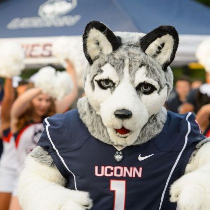 UConn mascot Jonathan wants to kill and fuck after smoking all the weed