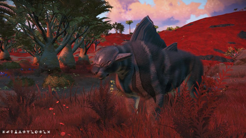 A sex characteristic I guess? No wings on this one, but a cool eye mask