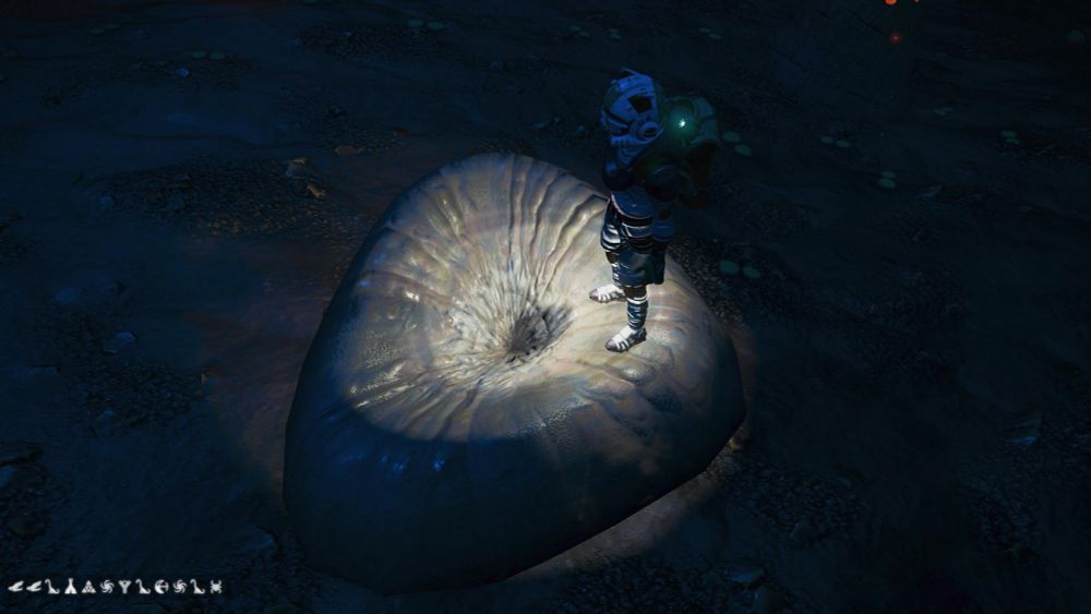 A rock that looks like a bootyhole