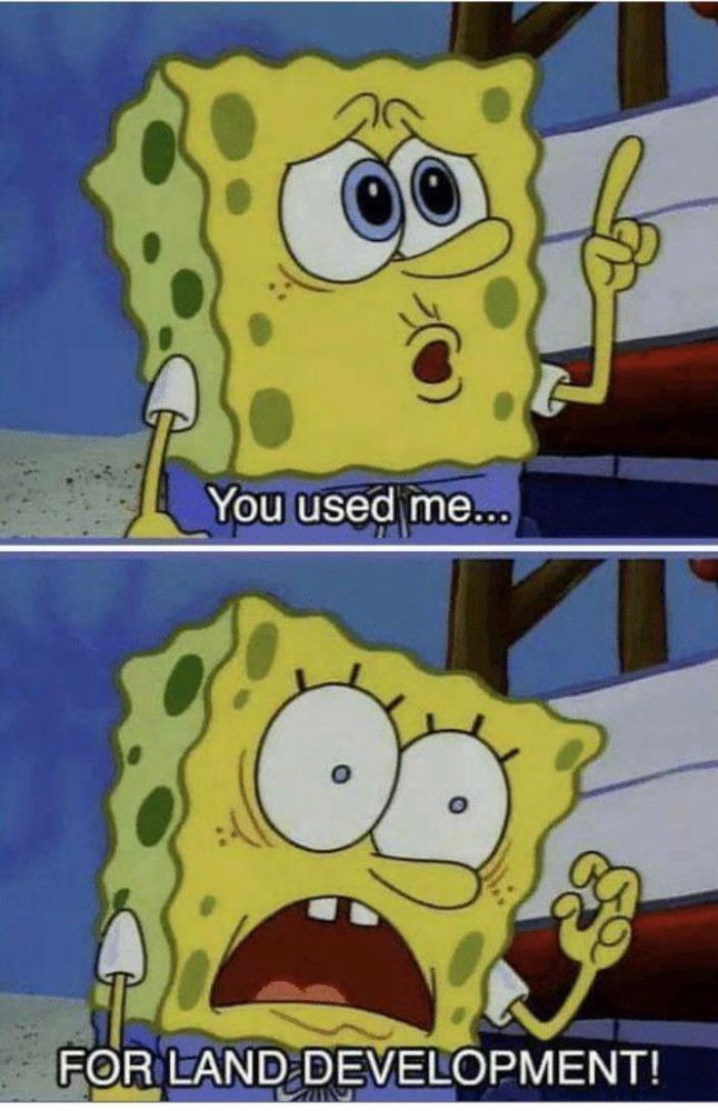 the SpongeBob “you used me . . . for land development!” meme
