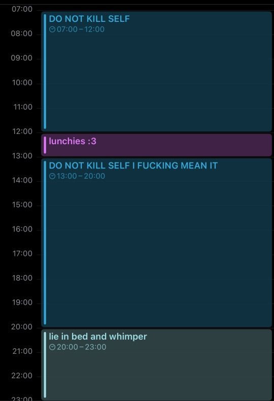 DO NOT KILL SELF 07:00 - 12:00

lunchies :3

DO NOT KILL SELF I FUCKING MEAN IT 13:00 - 20:00

lie in bed and whimper 20:00 - 23:00