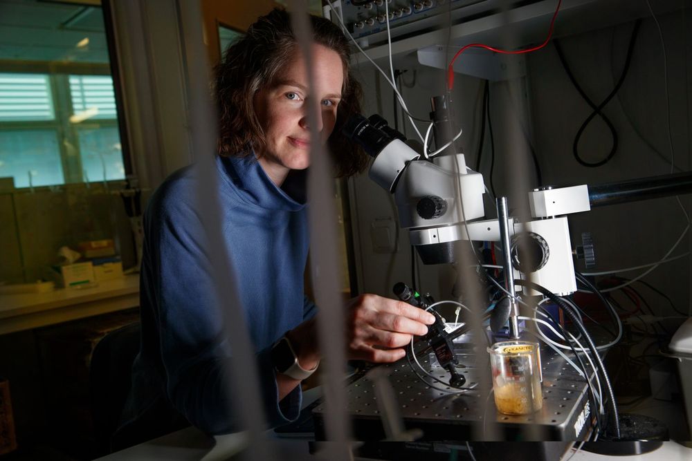 SciLifeLab researcher and KTH Professor Lucie Delemotte sitts behind a microscope.