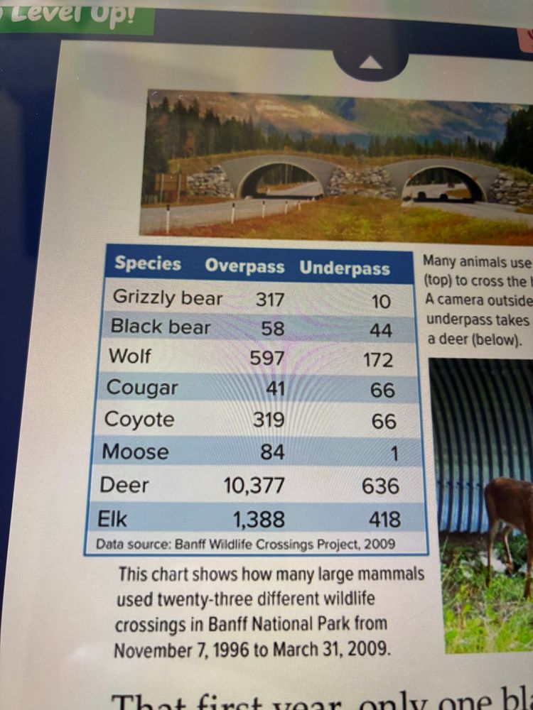 Table from book that inspired figure (Banff animal over and underpass crossing data).