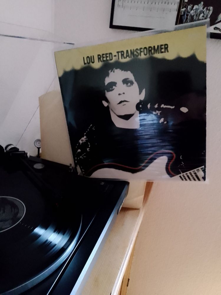 The mighty Lou Reed with transformer