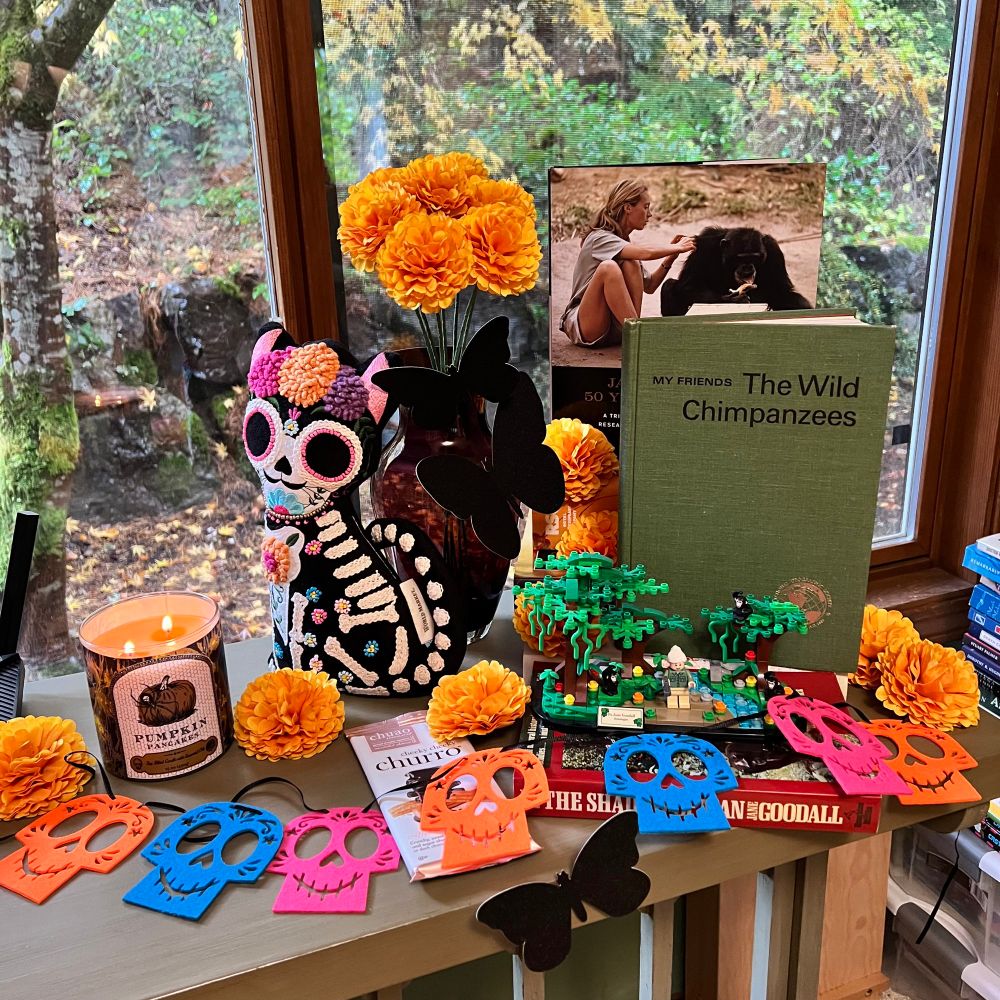 A Diá de Los Muertos ofrenda with a candle (pumpkin) for fire, mariposas (black) and banner for wind/air, rain behind the window for water, and a churro chocolate bar for earth (because the pan de muerto is still in progress). There are also fake marigold flowers and a stylized cat plush. In the center are three Jane Goodall books, My Life With the Chimpanzees, written early in her career, In the Shadow of Man (signed) from later, and a celebratory coffee table book Jane Goodall: 50 Years at Gombe. Also included is a Jane Goodall Lego set. All of the colors are bright and happy because she brought light to the world.