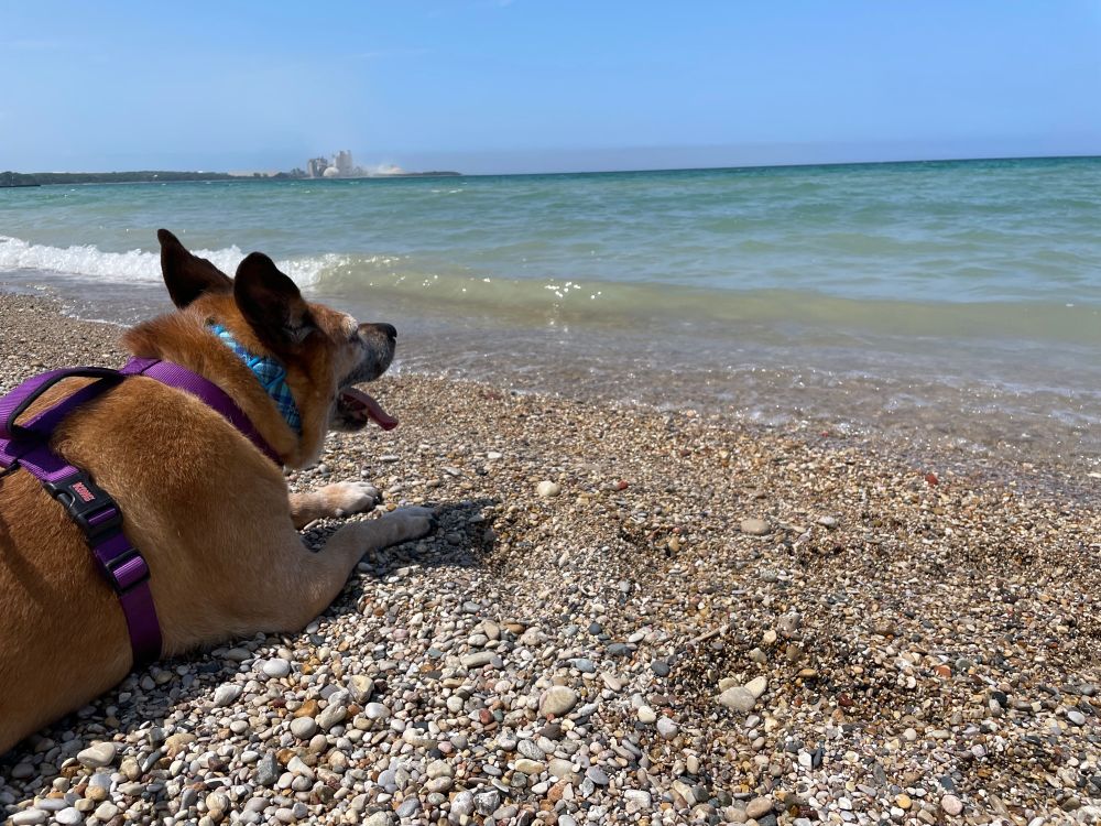 Spirit, a very cute and fat old man dog, casts his blind gaze over the expanse of Lake Michigan