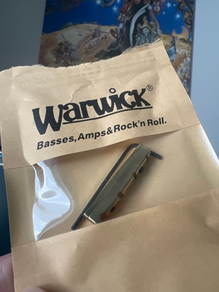 A new nut for a Warwick bass guitar in a package